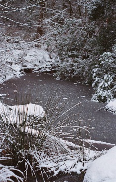 field's creek pond in winter